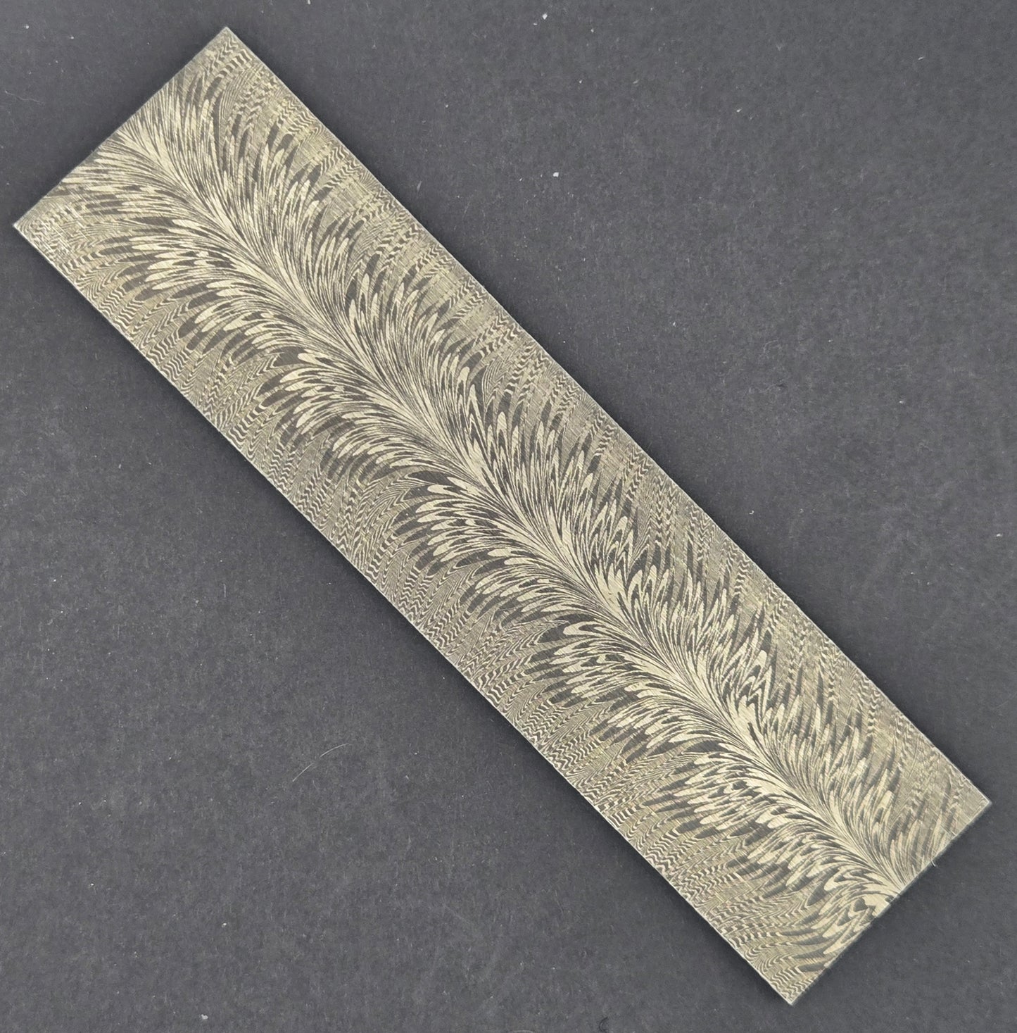 Tulip Feather