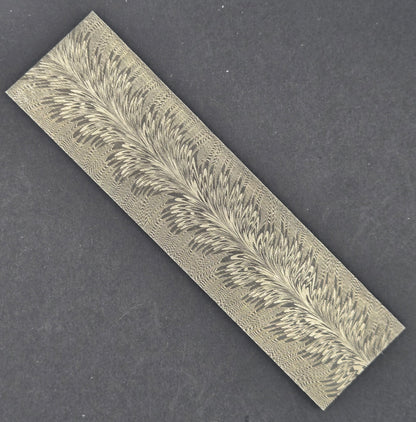 Tulip Feather