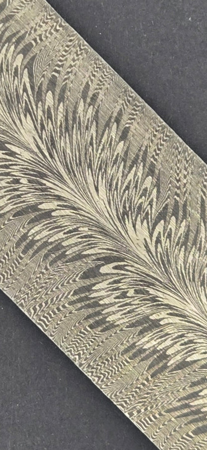 Tulip Feather