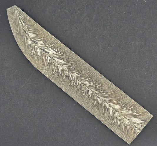 Forged tip Feather